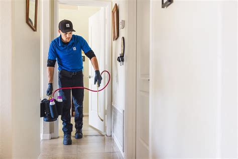 How Long Does Pest Control Smell Last? Shocking Details Inside – TrapX