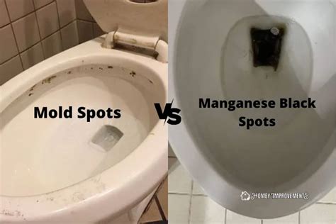 What Causes Black Stains In The Toilet Bowl