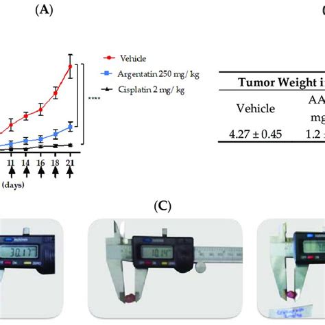 In Vivo Antitumor Effect Of Aa The Antitumor Activities Of Aa Were