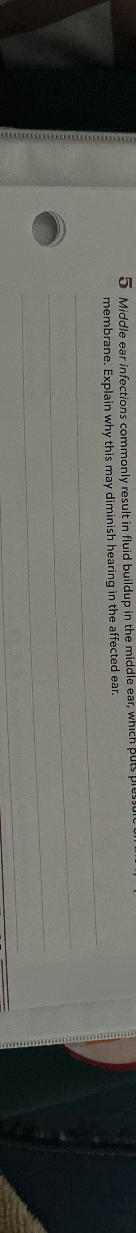 Solved 5 ﻿Middle ear infections commonly result in fluid | Chegg.com