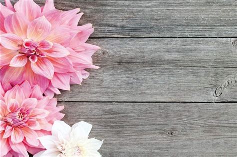 Amazon Leyiyi X Ft Spring Flowers On Wooden Board Backdrop