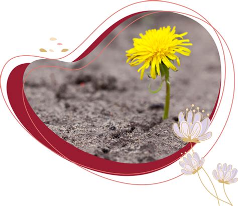 Intri – Instituto de Neuropsicologia