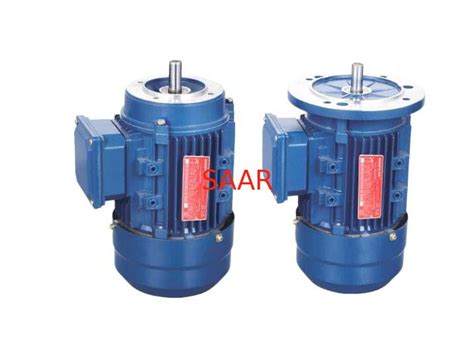 Three Phase Electric Motor Asynchronous Motor MS Series With Aluminum