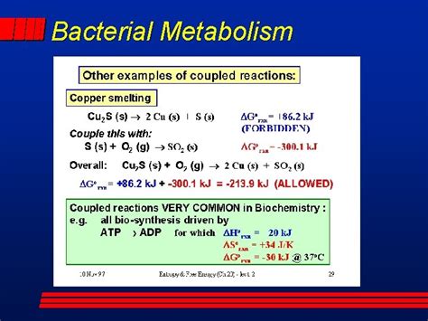 Bacterial Metabolism Introduction Enzymes Energy Production Bacterial