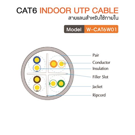 Widen Indoor Cat Utp Cable Awg Fr Lszh White Color M Box