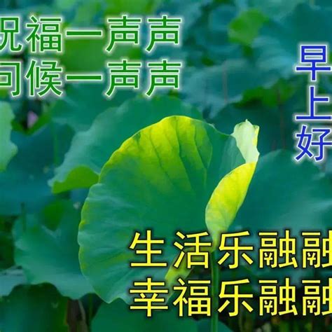 6月24日最新早上好祝福动态表情图片大全，早上好问候语句子！ 朋友 贵在 短信