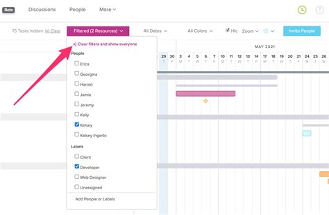 Clear or Remove Filters from Your Project | TeamGantt Support