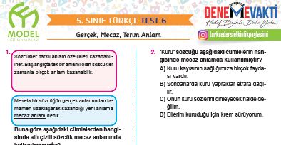 5 Sınıf Gerçek Mecaz Terim Anlam Testi turkceci net