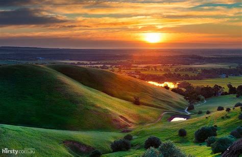 Rolling Hills Barossa Valley Stunning Sunset Wine Country In