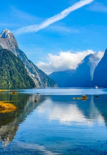 A Guide To The Stunning New Zealand Fjords | Celebrity Cruises