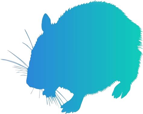 Download Transparent Gerbil Png Image - Illustration - ClipartKey