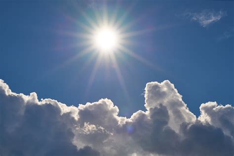 Summer School: Climate Knowledge | Museum für Naturkunde