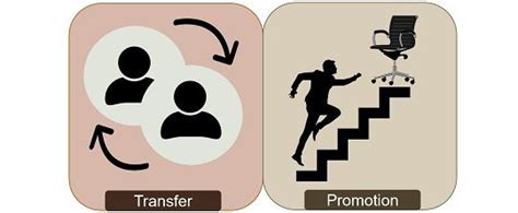 Difference Between Transfer and Promotion (with Comparison Chart) - Key ... 