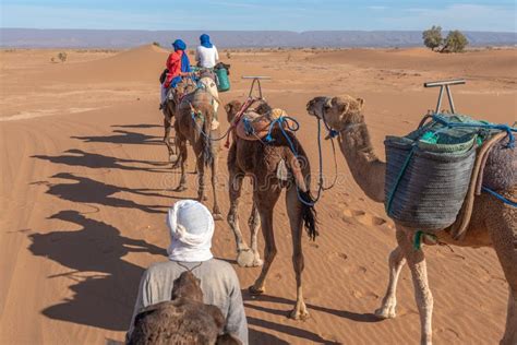 Camel Ride in Sahara Desert Editorial Stock Image - Image of sahara, camels: 166641449