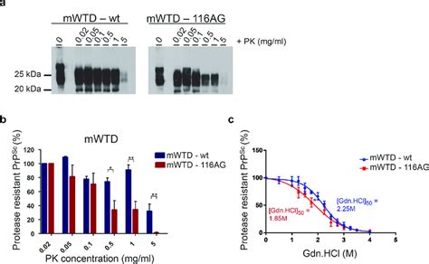 Biochemical Properties Of Mwtd Prions Resistance To Pk Was Assessed