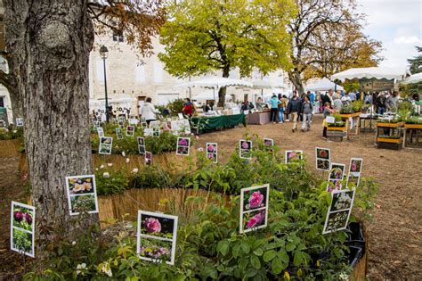 Accueil Foire Aux Plantes