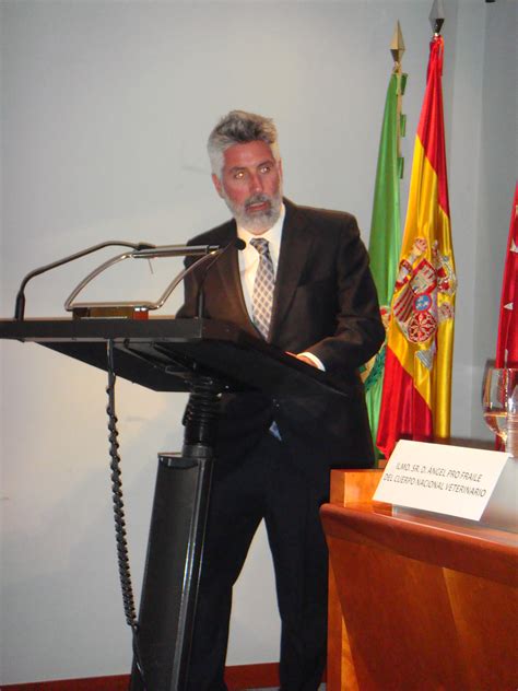 Racve Sesi N In Memoriam Del Excmo Sr Dr D Luis Mardones Sevilla