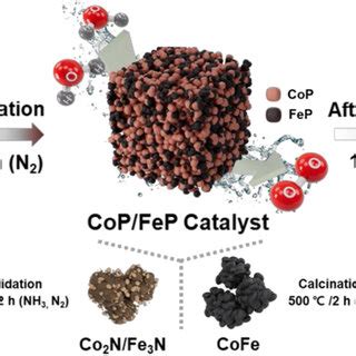 Schematic Illustration Of The Synthesis Procedure Of Mesoporous CoP FeP