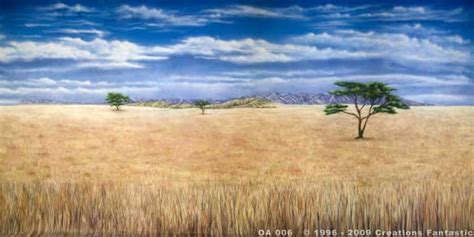 Backdrop Oa 006 African Savannah 5