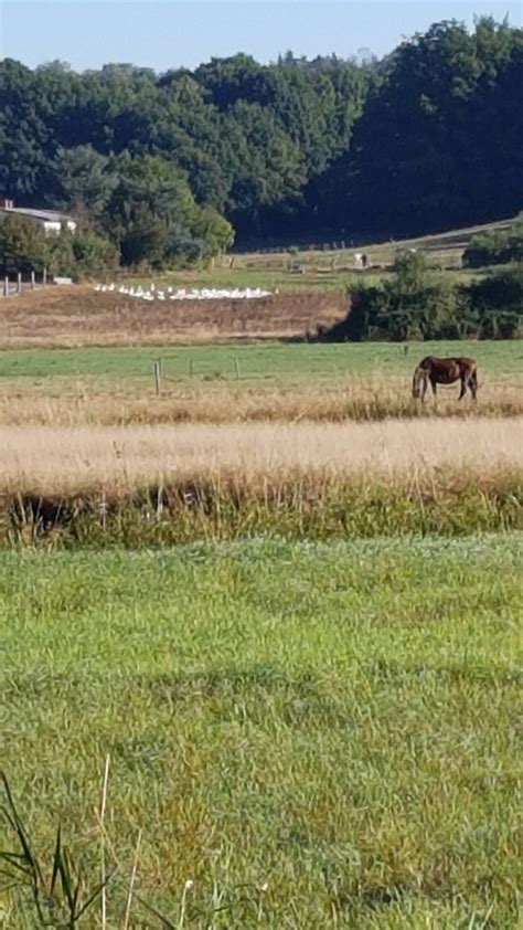 F Nf Der Zehn St Dtischen Wanderwege In Neunkirchen