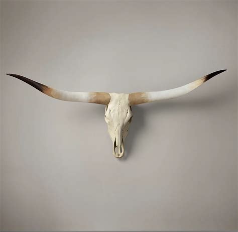 Longhorn skulllonghorn decorcow skullbull skulllonghorn etsy – Artofit