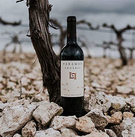 Páramos de Legaris Vino tinto DO Ribera del Duero 100 Tempranillo