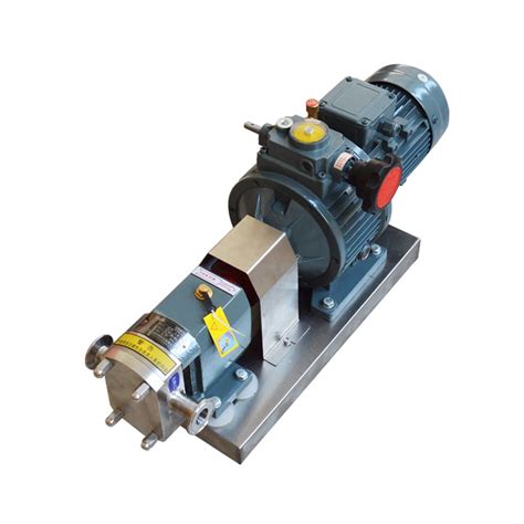 INTBUYING Hygienic Grade Cam Rotor Pump For Peanut Butter Chili Sauce