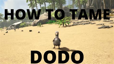 How To Tame A Dodo Ark Youtube