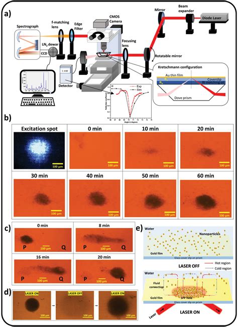 SurfacePlasmonPolaritons For Reversible Assembly Of Gold