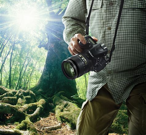 Лучшие фотоаппараты для начинающих фотографов: обзор моделей