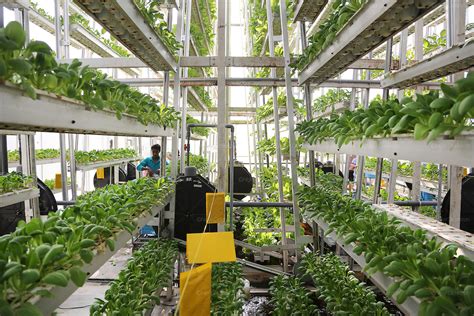 Sky Greens vertical farming agriculture Singapore, South East Asia - Parametric Architecture