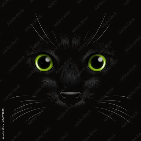 Vector 3d Realistic Green Cats Eye Of A Black Cat In The Dark At Night