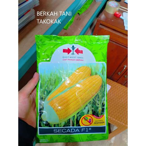 Jual Benih Jagung Manis Secada F Isi Biji Cap Panah Merah