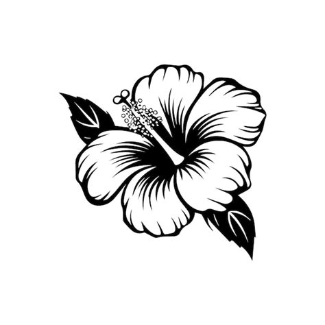 Vintage Hibiscus Flower Vectors And Illustrations For Free Download Freepik