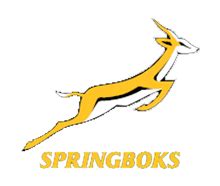 The Official Springbok Opus The Definitive Book On The History Of