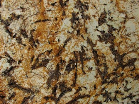 Splendor Gold Granite Countertops Cost Reviews