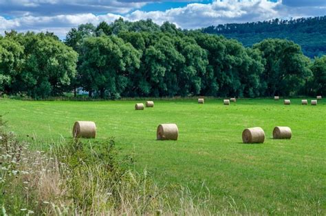 Premium Photo Rolls Haystacks Straw On Field Harvesting Wheat Rural