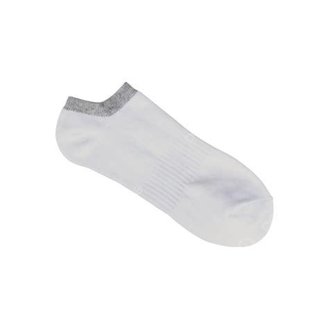 White Short Sport Sock Isolated Shot Isolated Fabric Gray Png