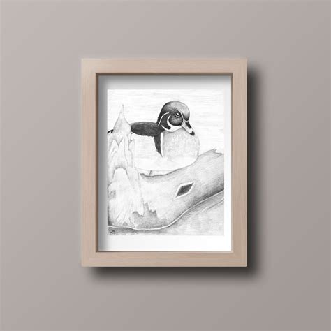 Duck Art Printable, Wood Duck Drawing, Pencil Art Digital Download - Etsy