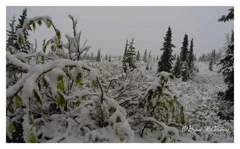 Biking and Hiking Denali National Park, well almost! - BikeHikeSafari