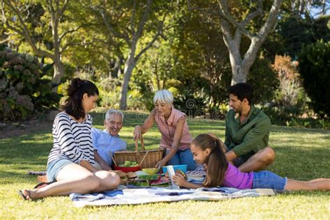 Familia Feliz Que Tiene Comida Campestre En El Parque Foto De Archivo