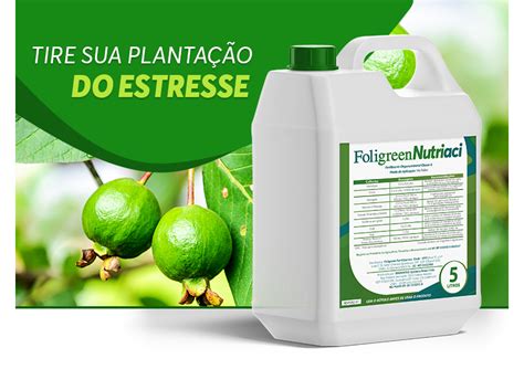 Fertilizante Foliar Nutriaci Foligreen Agrofy