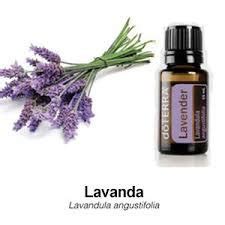 Aceite Esencial De Lavanda Doterra Ml En Mercado Libre