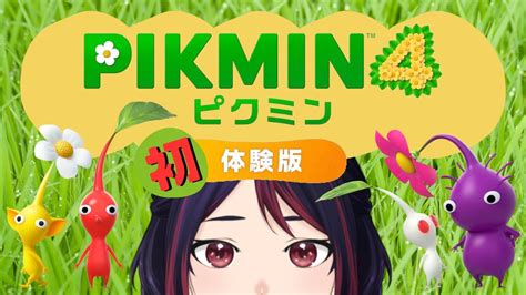 【ピクミン4🌱体験版】リリース前夜！！ピクミン初体験のあんこが体験版をお散歩するぞっつぶlive ピクミン4 Youtube