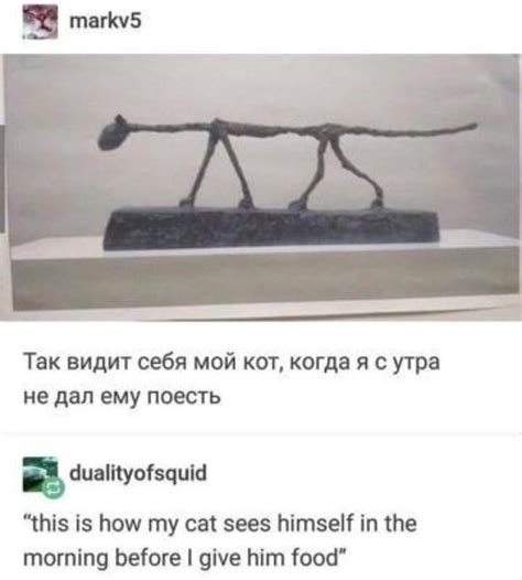 Russian cat humor