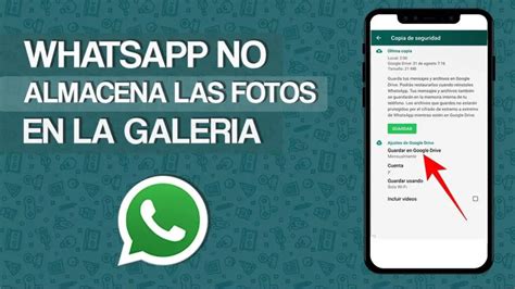 Por Qu No Me Aparecen Los V Deos De Whatsapp En Galer A Haras Dadinco