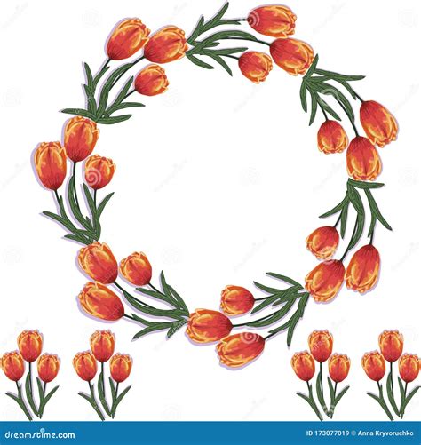 Bouquet Of Tulips Wreath Of Yellow Red Tulips Vector Stock Vector