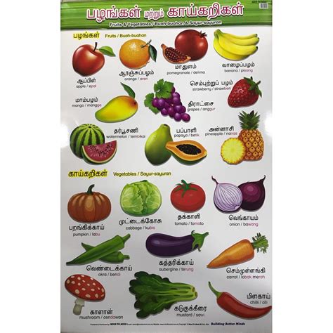 Fruits Vegetables Tamil English Bm Words Chart Shopee Malaysia Sexiz Pix