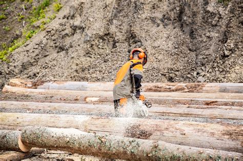 Premium Photo Lumberman Work Wirh Chainsaw In The Forest Deforestation Forest Cutting Concept