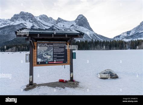 Canmore Alberta Canada January 19 2022 Quarry Lake Off Leash Dog